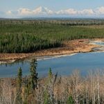 Climate Change Impacts on Forested Ecosystems of Alaska